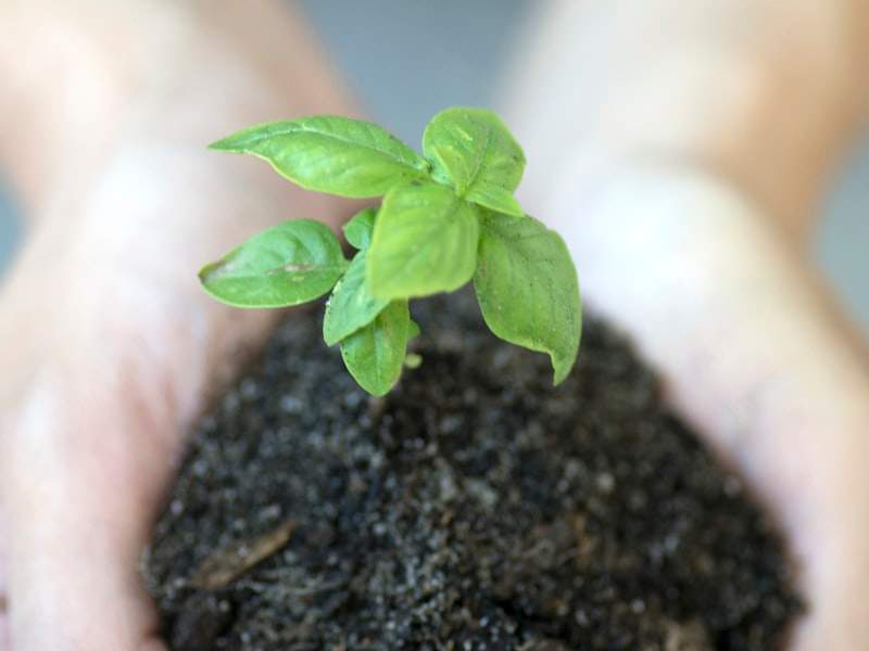 Understanding Hoarding Cleanup in Chino